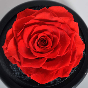 INUNION, ventas al por mayor, <span class=keywords><strong>rosas</strong></span> personalizadas para siempre con caja de regalo, flores preservadas, <span class=keywords><strong>rosas</strong></span> eternas en cúpula de cristal para <span class=keywords><strong>cumpleaños</strong></span>, San Valentín - Product Image 2