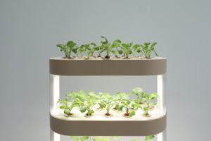 Tự động nhà vườn thủy canh nhà máy phát triển hệ thống LED chiếu sáng thông minh trồng chậu hoa thủy canh trong nhà thảo mộc vườn - Product Image 3