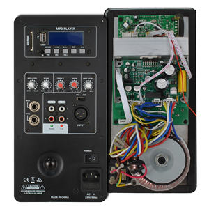 Módulo Amplificador de Potencia Activo Clase <span class=keywords><strong>AB</strong></span> para Caja de Altavoz de un Solo Canal Accuracy Pro Audio 08AOH 80W MP3 APP BT - Product Image 1