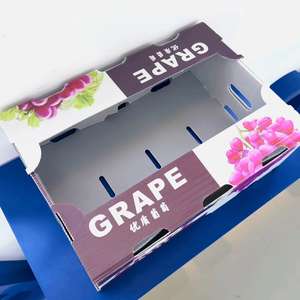 <span class=keywords><strong>Caja</strong></span> de volumen de almacenamiento de frutas y verduras plegable PP corrugado blanco de fábrica con impresión de logotipo <span class=keywords><strong>Caja</strong></span> De Plástico <span class=keywords><strong>Caja</strong></span> De envío - Product Image 3