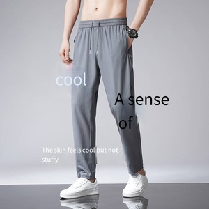 Venta caliente primavera y verano hombres delgados versión coreana de pantalones de chándal sueltos casuales hombres - Product Image 4