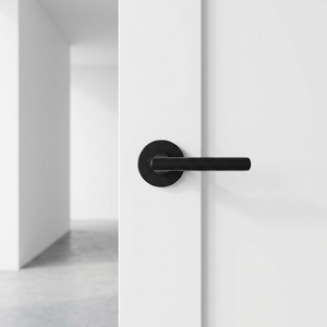 <span class=keywords><strong>Poignée</strong></span> <span class=keywords><strong>de</strong></span> <span class=keywords><strong>porte</strong></span> moderne en alliage <span class=keywords><strong>de</strong></span> zinc avec <span class=keywords><strong>vis</strong></span> dissimulée, conforme aux normes australiennes, <span class=keywords><strong>pour</strong></span> portes intérieures et <span class=keywords><strong>de</strong></span> passage. - Product Image 5