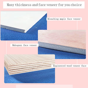 Línea <span class=keywords><strong>de</strong></span> producción <span class=keywords><strong>de</strong></span> bambú, hormigón <span class=keywords><strong>de</strong></span> <span class=keywords><strong>segunda</strong></span> <span class=keywords><strong>mano</strong></span>, precio <span class=keywords><strong>de</strong></span> madera contrachapada Peri - Product Image 6