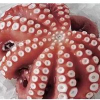 Poulpe Cuit Congelé BQF pour Congélation Rapide, Dédenté, Déveineux, Fruits de Mer en Gros, 26-60 pièces/lb, Certifié HACCP, Newchance