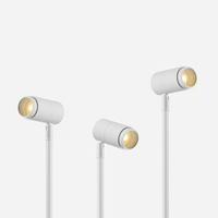 Lampe de bureau réglable pour affichage de musée moderne avec zoom rétractable Projecteur anti-éblouissement pour bijoux