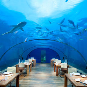 투명한 50-700mm 제조자 큰 크기 두꺼운 바다 바닷물 수족관 디자인 및 구조 어항 수족관 - Product Image 4