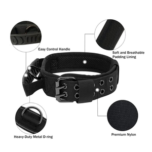<span class=keywords><strong>Collar</strong></span> y Correa para Perro de Lujo, Personalizados, de Nailon, con Hebilla Metálica Ajustable, Resistentes, para Entrenamiento Táctico - Product Image 4