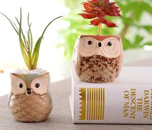 Maceta Moderna de Cerámica con Diseño de Búho Japonés y Coreano, Mini Maceta para Suculentas, Decorativa para Aniversario, Juego de Búhos - Product Image 2