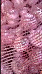 Toplu Taze Sarımsak, Küresel Satış İçin Düşük Fiyatlarla ve Özelleştirilmiş Ambalajla - Product Image 3