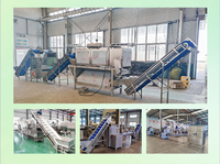 Machine commerciale Mayboom 200 kg/h pour la fabrication de sauce à l'ail et au piment, ligne de production de pâte de gingembre et de piment rouge avec moteur
