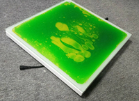 Dalles de sol sensorielles liquides aux couleurs vives RGB pour enfants, danse, LED illuminées, matériau PVC, imperméables