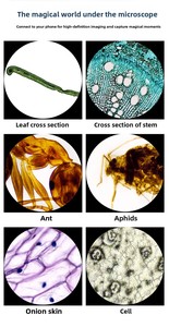 Microscopio Monoculare per Bambini 100-2000X, per Esperimenti Scientifici e Osservazione di <span class=keywords><strong>Flora</strong></span> e <span class=keywords><strong>Fauna</strong></span>, Microscopio ad Alta Definizione - Product Image 6
