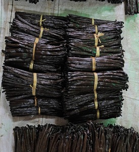 เบอร์เบินวานิลลา14-17ซม. รับประกันคุณภาพสารกำจัดศัตรูพืชและปราศจากสารกันบูด - Product Image 6