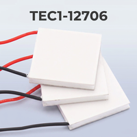 Module Peltier ANLING TEC1-12706 en gros, plaque de refroidissement semi-conductrice 40*40*4.0mm 12V 6A 61.2W pour armoire à vin et réfrigérateur électrique