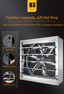 Vente directe usine – Ventilateur d'extraction électrique OEM pour usage industriel/élevage/serre, avec pales en acier inoxydable, roulement à manchon, montage sur toit - Product Image 3