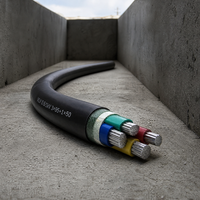 Câble d'alimentation blindé CU/XLPE/PVC 0,6/1 kV pour chaudière de centrale de chauffage urbain et réseau de distribution thermique