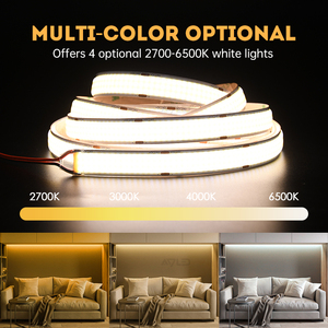Multi Color LED Strip Light 2700K 3000K 4000K 6500K Warm White Cool White DC12V Silicone Body Remote Control Dimmable - Product Image 1