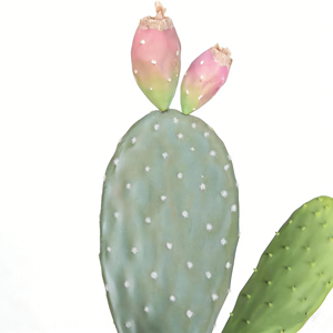 Plante artificielle <span class=keywords><strong>en</strong></span> <span class=keywords><strong>pot</strong></span> réaliste de type cactus, style figue de Barbarie avec des boutons roses, idéale pour la verdure de la maison, du bureau, des accents d'intérieur - Product Image 5