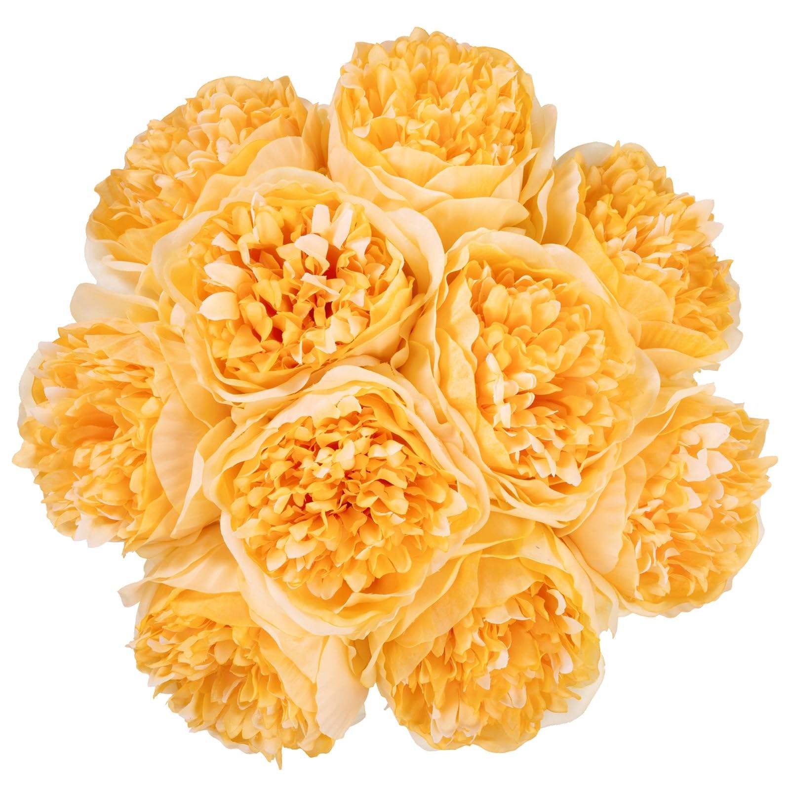 ตามที่แสดง