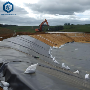 750 microns HDPE màng đất nuôi cá lót LDPE EPDM PVC nước hồ chứa geomembrane - Product Image 3