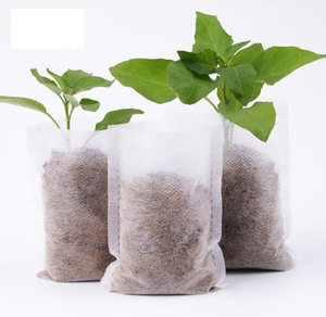 Plateau <span class=keywords><strong>de</strong></span> pépinière <span class=keywords><strong>de</strong></span> semis en plastique PS écologique Plateau <span class=keywords><strong>de</strong></span> plantes non tissé dégradable avec couvercle Équipement <span class=keywords><strong>de</strong></span> semis - Product Image 3
