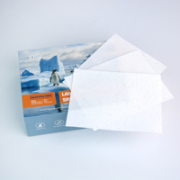 Feuilles de lessive multicolores Détergent sans phosphate Ultra Clean Power Wash Strips Eco Friendly Add Enzyme