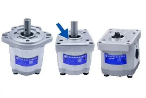 Nueva Bomba de Engranajes HCHC Original CBW-F316-ALPL 306-CFLH -CFPL -CFBL 312-CLHL -CF10 -ALB - Product Image 3