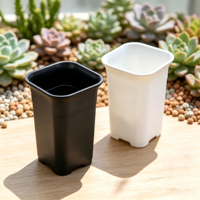 Pot de fleurs carré en gros pour plantes succulentes avec trou de drainage, 3/4/5/6 pouces, pot de pépinière en plastique épais, type profond pour cactus