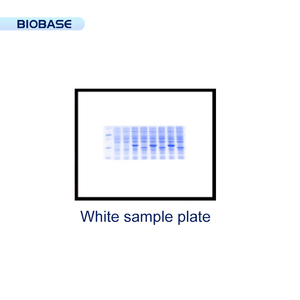 Sistema de Imagenología y Análisis de Gel Automático BIOBASE China BK-AG100 para Laboratorio - Product Image 4