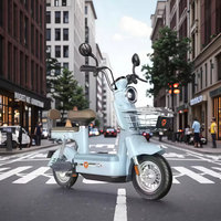 Vélo de route électrique 6 vitesses 48V 350W, cadre tout acier, pneus 14 pouces, freins à tambour avant/arrière sans balais, léger pour adultes, longues distances