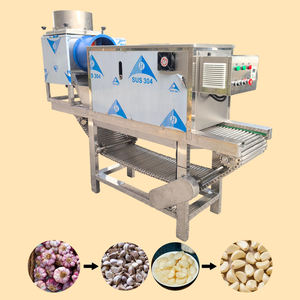 Ligne de production de pelage <span class=keywords><strong>d</strong></span>'<span class=keywords><strong>ail</strong></span> avec collecte des <span class=keywords><strong>d</strong></span>échets de pelage, machines de transformation de l'<span class=keywords><strong>ail</strong></span> pour l'industrie - Product Image 1