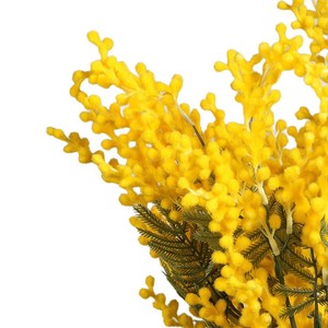 Fleur d'acacia artificielle Greenway, jaune, plante entière, en PVC, arrangement floral décoratif pour la maison et les mariages - Product Image 5