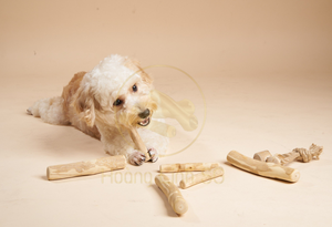 ไม้กาแฟทำด้วยมือของเล่นสำหรับสัตว์เลี้ยงจากเวียดนามปลอดภัยสำหรับสัตว์เลี้ยงของเล่นสุนัขเคี้ยวไม้จากเวียดนาม - Product Image 2