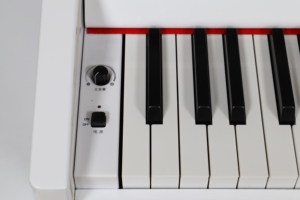 Bàn Phím Piano Phong Cách Trung Quốc Mẫu Miễn Phí Bàn Phím Tiêu Chuẩn Điện Tử Chuyên Nghiệp 88 Phím Đàn Piano Kỹ Thuật Số 88 Phím Âm Nhạc - Product Image 5
