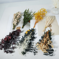 Bunga gypsophila awet, bunga awet, tanaman bunga kering alami untuk diffuser rotan