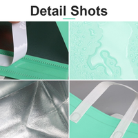 Sac isotherme imperméable écologique léger recyclable non tissé avec doublure en aluminium, capacité 3-30L, chaud/froid