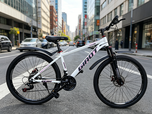 Bicicletas de Montaña con Llantas Gruesas OEM/ODM, Suministro Directo de Fábrica, 24/26 Pulgadas, Alta Calidad, Populares y Atractivas - Product Image 1