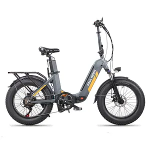 20 Inch 48V 500W 750W 1000W 12ah 14ah Lithium-Ion Dual Accu Elektrische Ebike Fiets Opvouwbare Ebike Fat Band E Bike