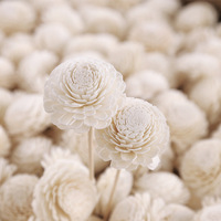 Boîte de remplacement pour aromathérapie, accessoires personnalisés en bois, fleurs de bois séchées, pour diffuseur de roseaux faits à la main, avec boîte