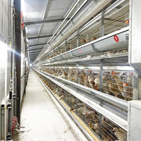 Cage à poules pondeuses d'élevage Linchuan d'occasion, type H, en acier galvanisé, 3/4 niveaux, capacité 96-148 poulets, facile à nettoyer