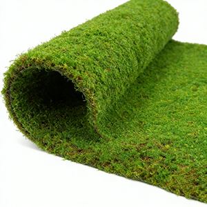 Musgo Preservado Duradero <span class=keywords><strong>en</strong></span> Oferta, Planta de Musgo Artificial, Musgo Natural Real para Decoración del Hogar y la Sala de Estar - Product Image 1