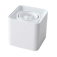 Spot à LED monté en surface pour le salon Lumière de la boîte de couloir Anti-éblouissement Double Head Bold Light Single Head No Main