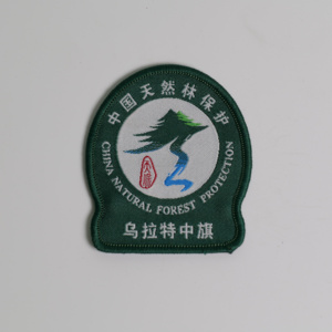 Équipe de sport personnalisé tissé fer sur étiquettes patchs pour maillots Football Football Baseball - Product Image 4