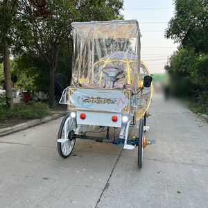 Carruaje Eléctrico de Lujo Blanco Estilo Cenicienta con Toldo Impermeable para Bodas y Eventos Temáticos - Product Image 4