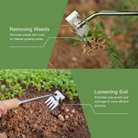 Outil de désherbage manuel en acier inoxydable pour jardin, extracteur de racines