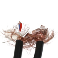 Câble d'ordinateur DJYVP en PVC avec blindage individuel à double gaine et tressage global pour réseaux fiables et connexions PC industrielles 450V/750V