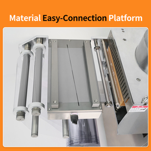 Dpp nhựa và Alu vỉ tự động lọ Ampoule dùng một lần tiêm ống tiêm Tablet vỉ máy đóng gói - Product Image 5