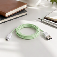 Câble USB-A vers Type C certifié CE RoHS, 5V, coque biodégradable, cordon de synchronisation de données premium, charge stable pour les appareils électroniques