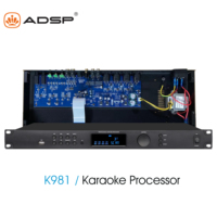 Processeur audio karaoké numérique professionnel Double ECHO + REVERB DSP effecteur coque métallique