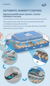 Incubadora de Huevos Automática HHD 138, Incubadora Solar para Huevos de <span class=keywords><strong>Pato</strong></span> - Product Image 5